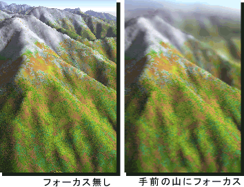 �t�H�[�J�X