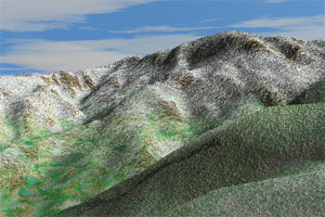 ����삩��␛�R���