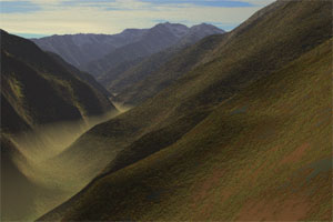 ��C�삩����x