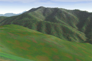 �k�A�E��t�x