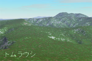 �y���Ȃ�g�����E�V