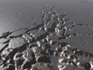 �N���b�N����Ɗg��