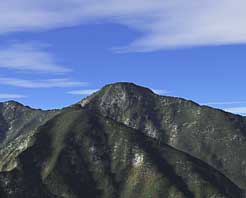 �t�B�������ǌ�