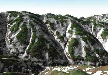 �c��ʋ@�\���g�p