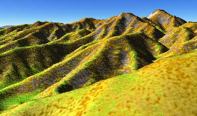 �������F�̕��i