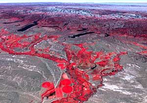 �N���b�N����Ɗg��